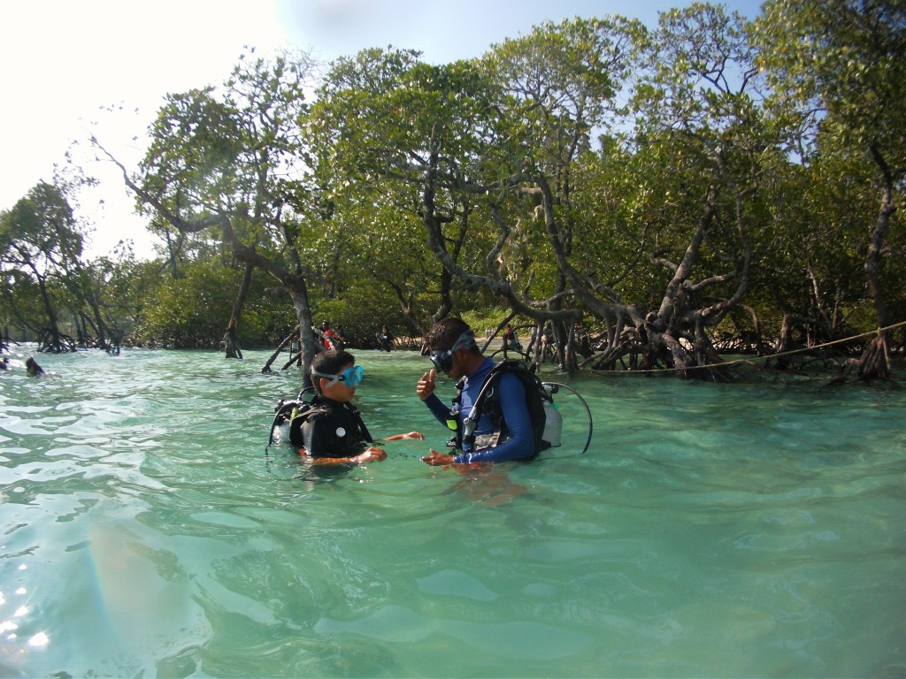 Elephant beach (Scuba site)