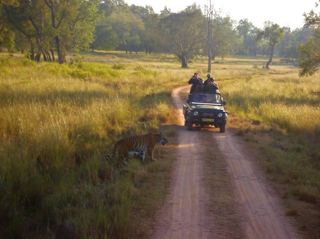 Kanha National Park, Madhya Pradesh