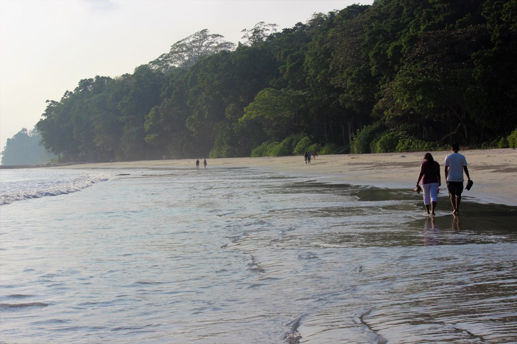Radhanagar beach