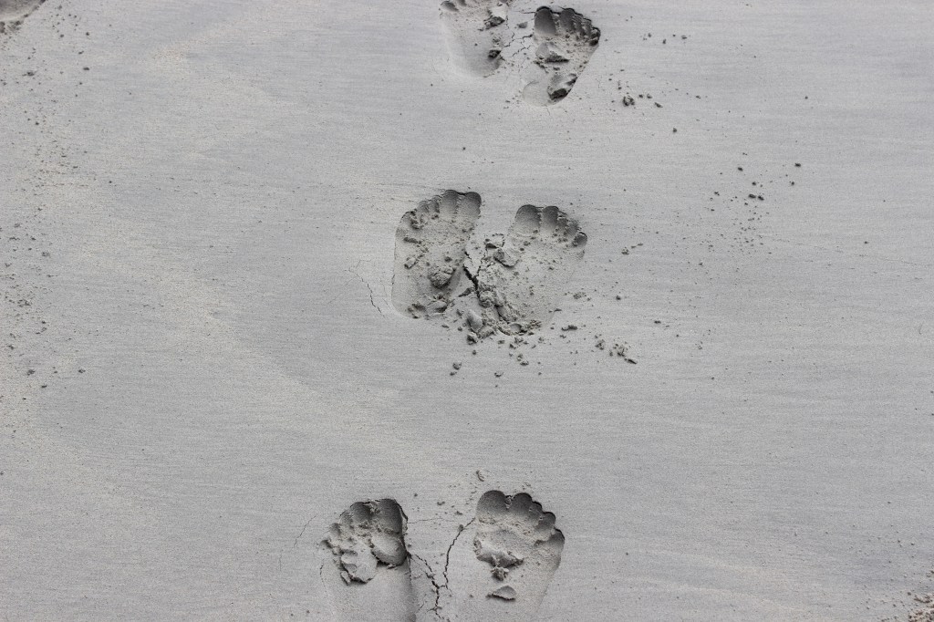 Our son simply jumped